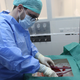 A surgeon connecting the donor liver to the perfusion machine.